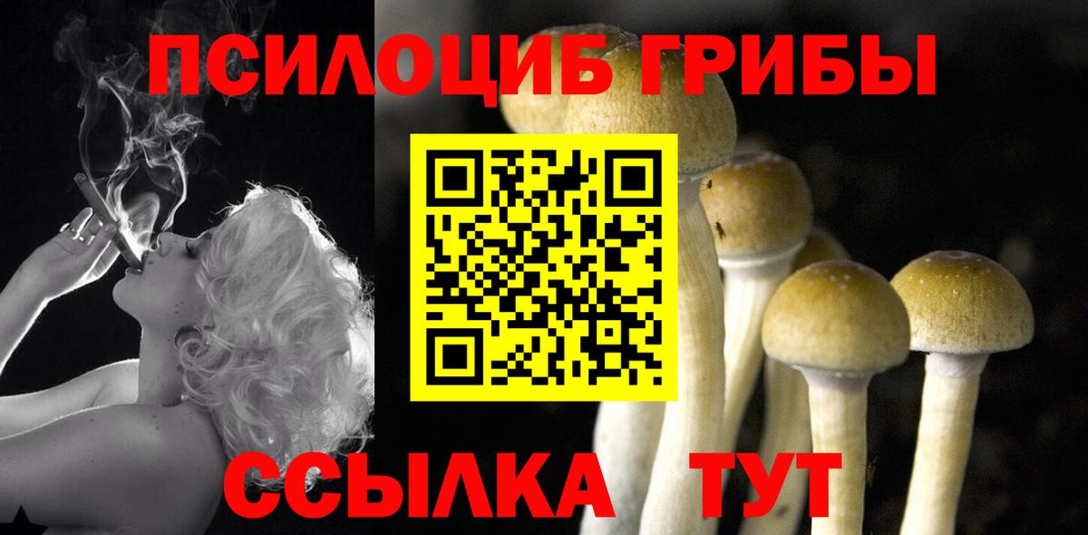 Галлюциногенные грибы мухоморы  Вход с VPN  Выборг  Галлюциногенные грибы ЛСД 
